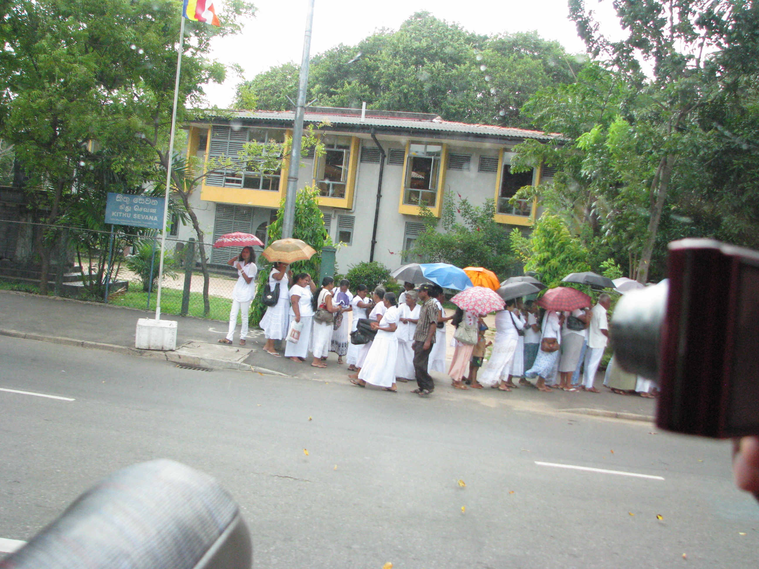 IMG 9287
